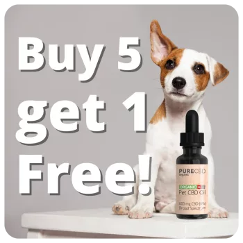 buy 5 bottles of cbd oil for dogs, get one free.