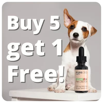 compre 5 botellas de aceite de CBD para perros y obtenga una gratis.