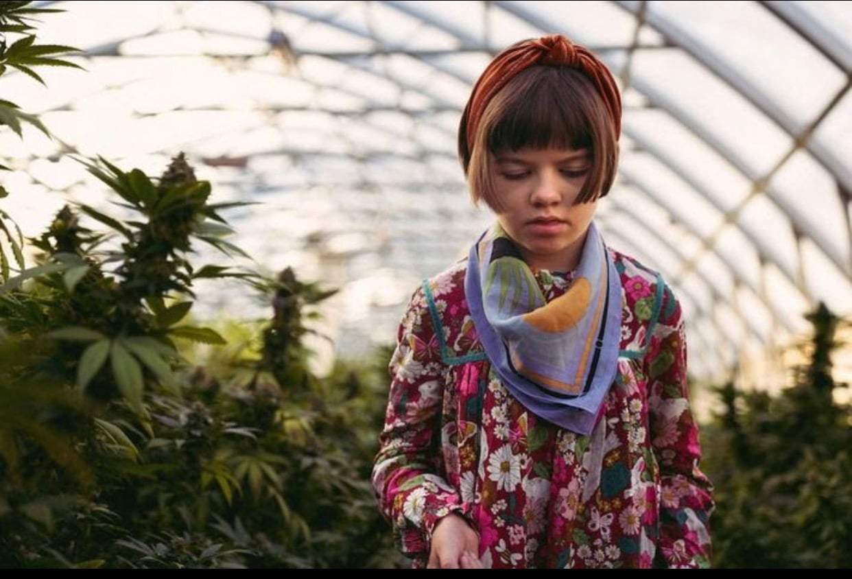 charlotte figi, la jeune fille qui souffrait du syndrome de Dravet, se promenant dans une maison de culture de cannabis. Elle est entourée de plantes de cannabis floues. CBD révolution