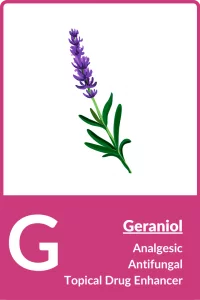 geraniol terpene