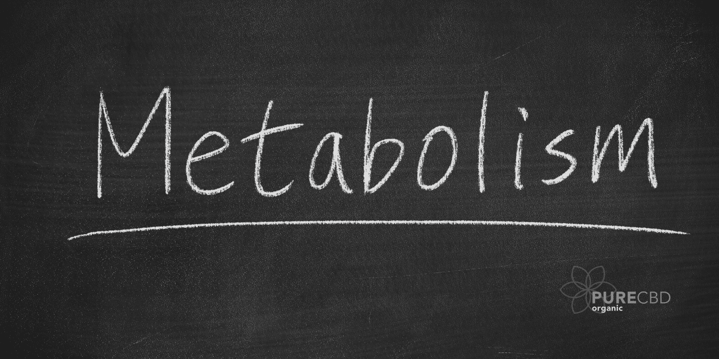 Metabolism and CBD