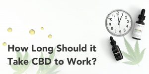 How long it should take cbd to work