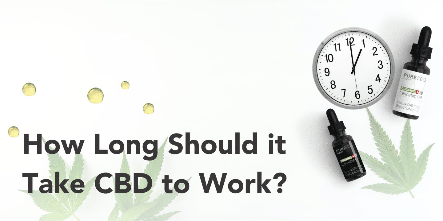 How long it should take cbd to work