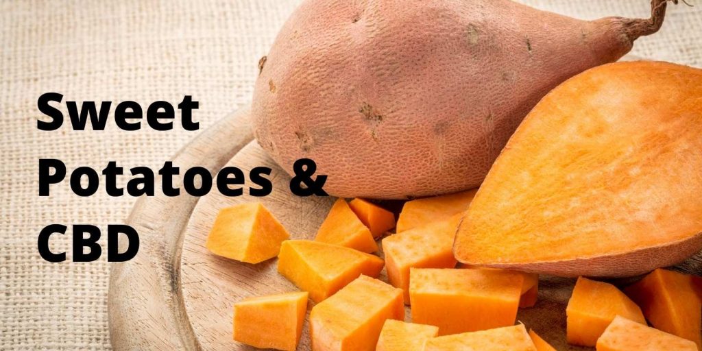 Sweet potatoes combined with CBD are a great way to get to a healthier life