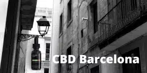 cbd in barcelona