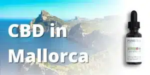 a bottle of CBD in the foreground. There is a picture of Mallorca in the background