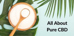 All About Pure CBD