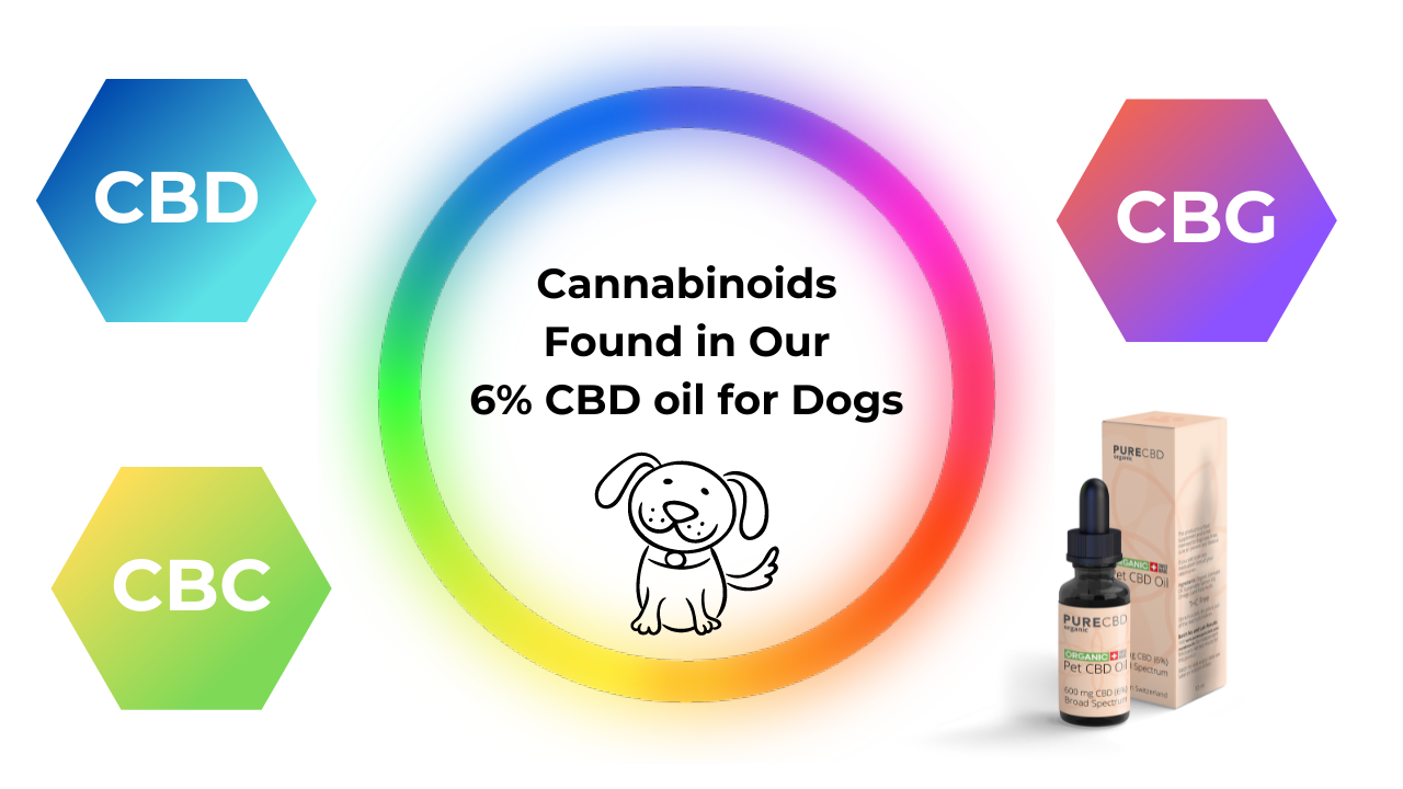 You can find additional cannabinoids in our CBD oil for dogs. They include CBC, CBG and CBD. They are all safe and beneficial to your dog and work to maximise the efficacy of our product.