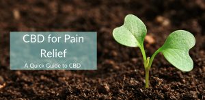 Cbd for pain relief