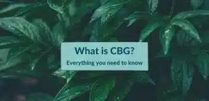 en skogbakgrundsbild med texten som säger Vad är CBG?