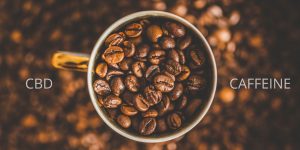 cbd and caffeine