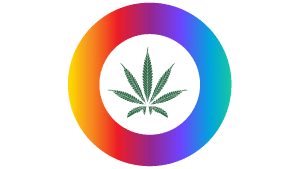 cbd cannabinoids full spectrum