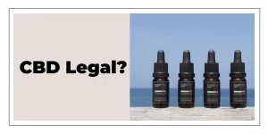 is cbd legal?
