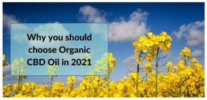 Why organic CBD oil