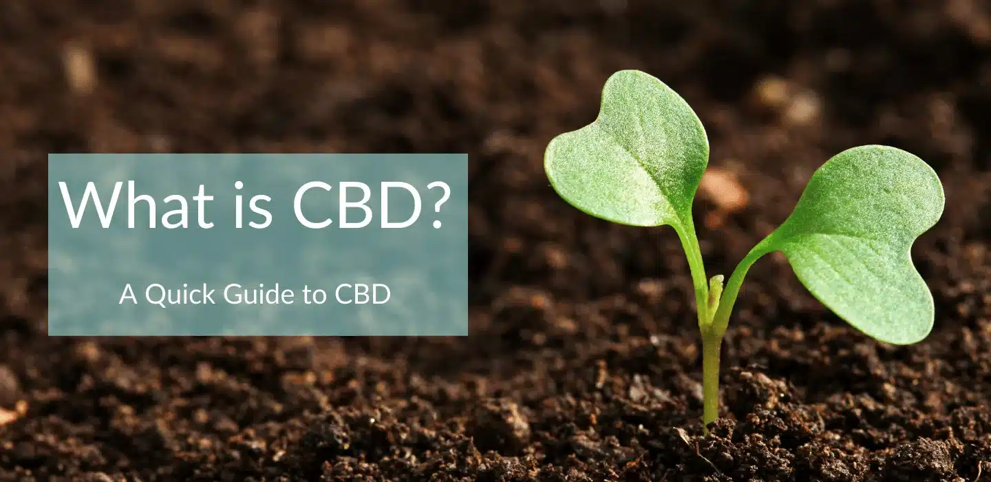 what is cbd artwork for out blog post