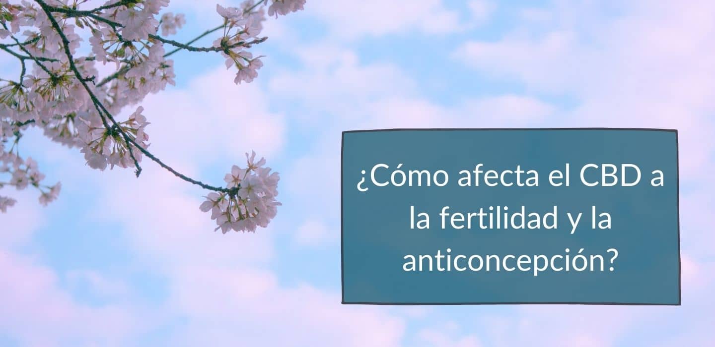 ¿El CBD afecta la fertilidad y la anticoncepción?