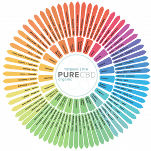 Our useful and handy terpene wheel sourced from industry leading research