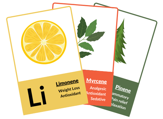 CBD Terpenes