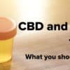 ¿Puedo tomar CBD y pasar una prueba de drogas, material gráfico de blog?