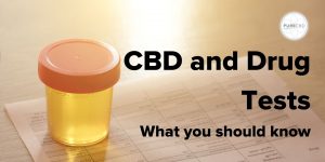 can I take CBD and pass a drug test, blog artwork.