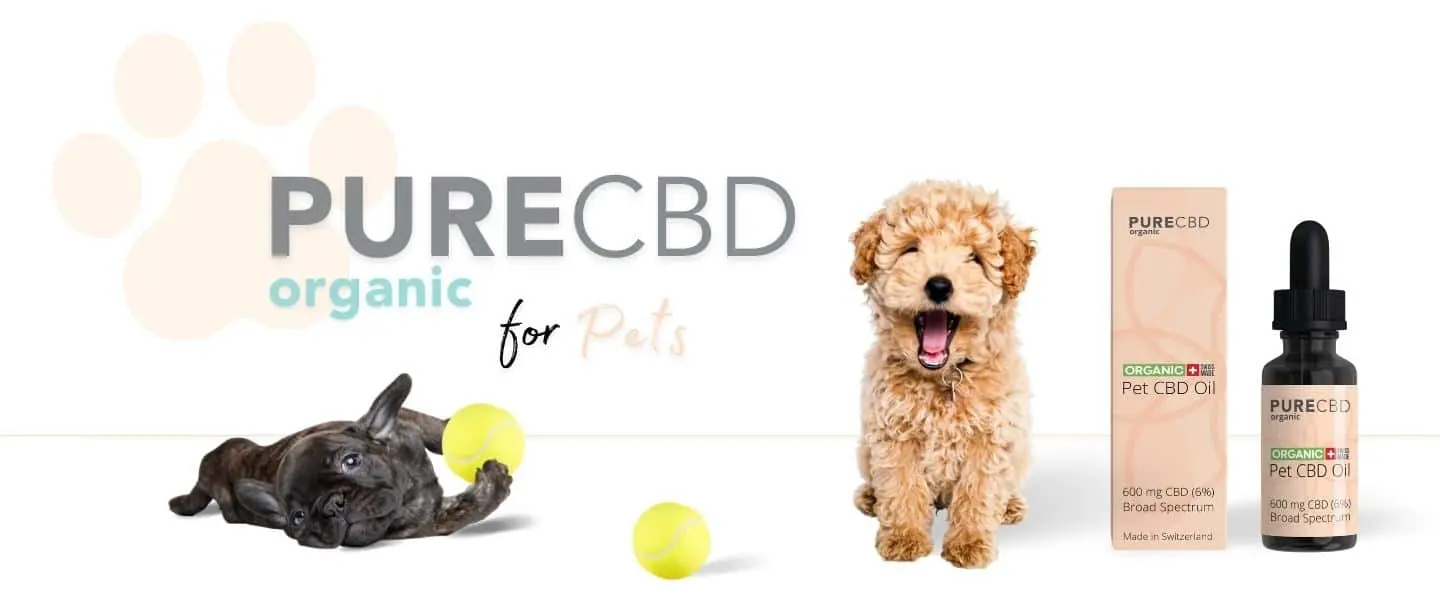 presentamos Pet CBD de Pure Organic CBD UK