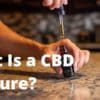 what is a cbd tincture artwork for our blog