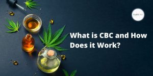 una foto que muestra varias hojas de cannabis y tinturas de aceite. El texto dice "qué es cbc y cómo funciona".