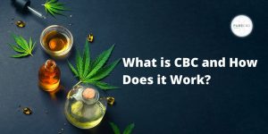 muestra varias hojas de la planta del cannabis y sus efectos