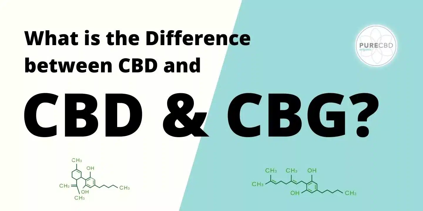 ¿Cuál es la diferencia entre las ilustraciones de CBD y CBG?