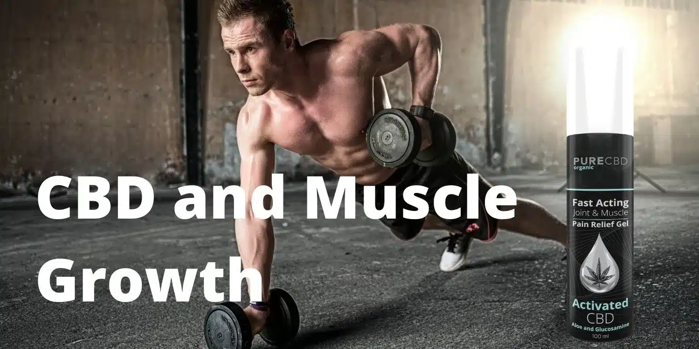 Ein Mann macht Liegestütze mit Gewichten. Er benutzt CBD Muskelcreme, um seine Trainingszuwächse zu steigern.