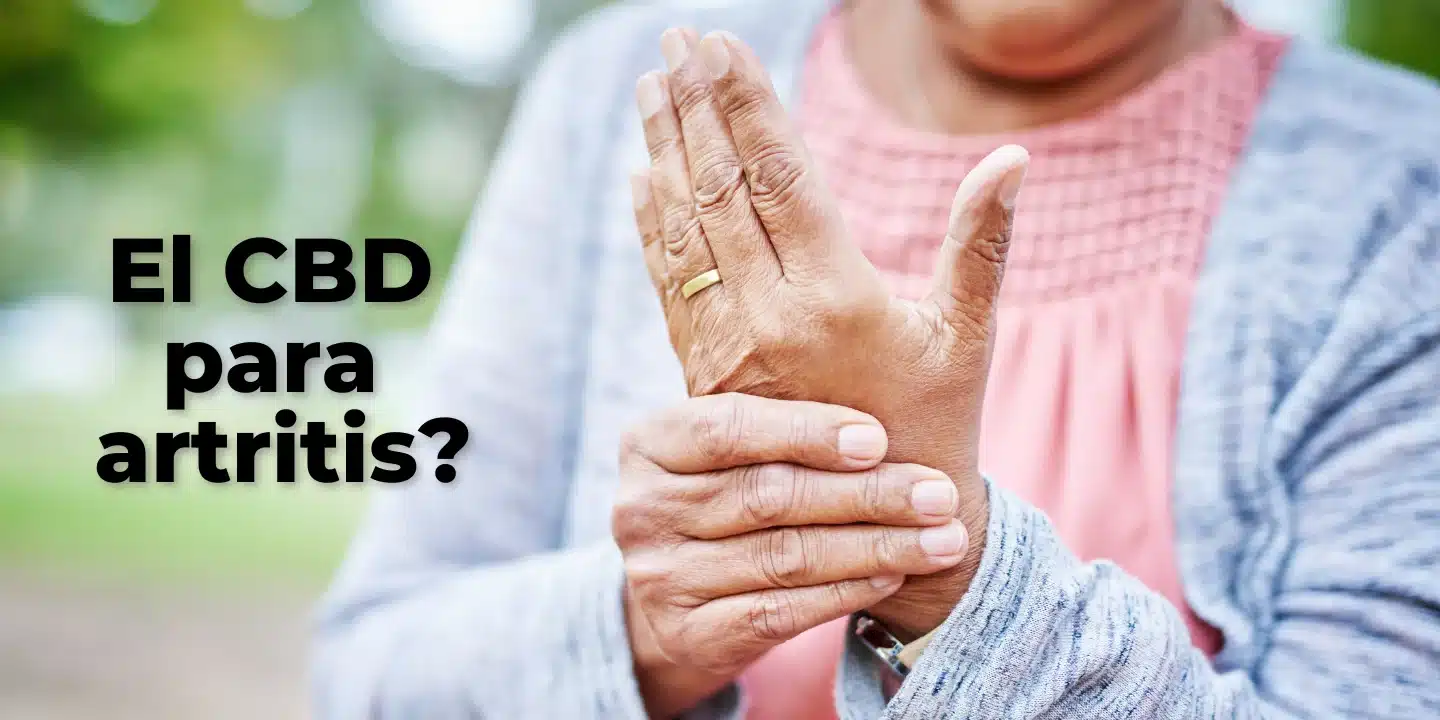 CBD Aceite para el arte del artículo de la artritis. La imagen muestra a una persona mayor sosteniendo su mano. Establece el contexto del artículo sobre cómo el cannabidiol puede ser bueno para aliviar los síntomas de la artritis.