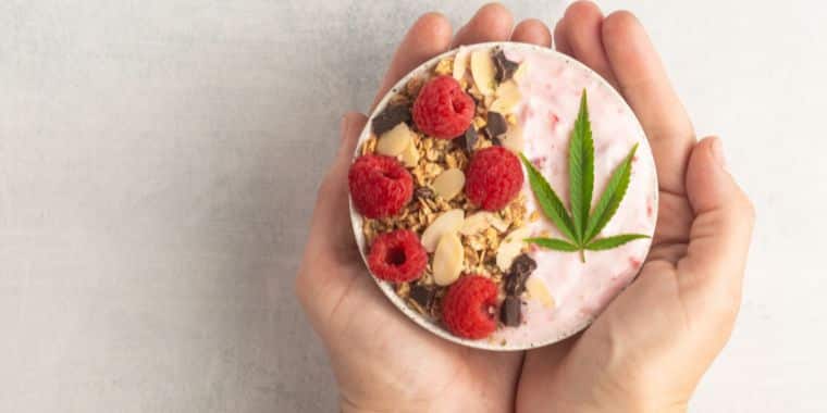 eine Schüssel mit Joghurt und Beeren mit einem Cannabisblatt als Symbol CBD Öl.