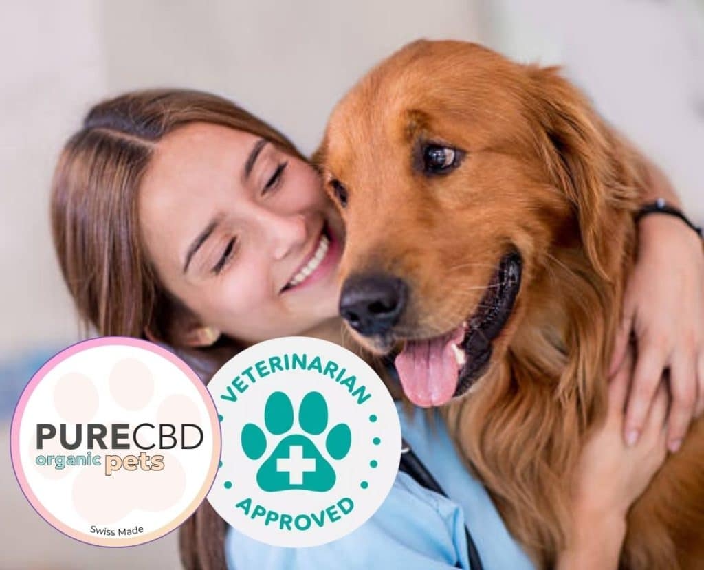 Jetzt können Sie unser legendäres Haustier anbieten CBD in Ihrer Tierarztpraxis. In Kontakt kommen.