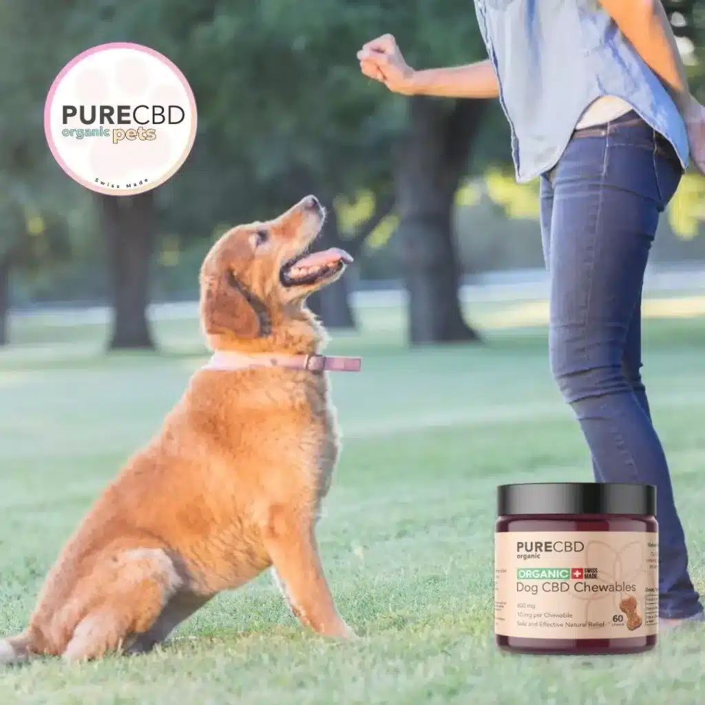 For dog owners looking for the best CBD dog treats on the market you will not find a better product.
