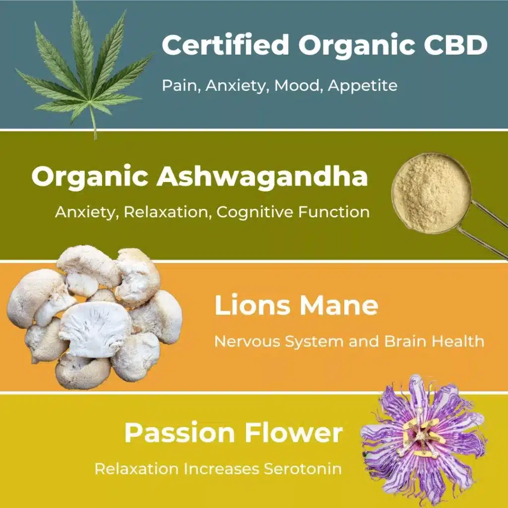 Some of the ingredients in our CBD treats for dogs. This includes organic CBD extract, Ashwagandha powder, Lions Mane and passion flower.