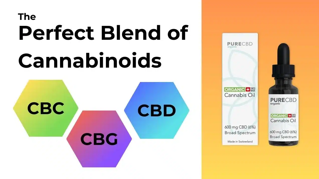 Ein Bild, das die drei wichtigsten Cannabinoide zeigt, die in einem breiten Spektrum von 3 mg vorkommen cbd Öl durch Pure Organic CBD. Das Bild zeigt CBD, CBC und CBG.