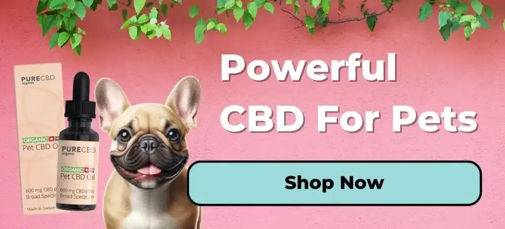 A promotional image featuring Pure Organic CBD's organic pet CBD products, set against a pink wall with green foliage. The product label mentions '600 mg CBD' and 'Broad Spectrum'. Accompanied by a lifelike illustration of a smiling French Bulldog. Large white text proclaims 'Powerful CBD For Pets' and there's a 'Shop Now' button.